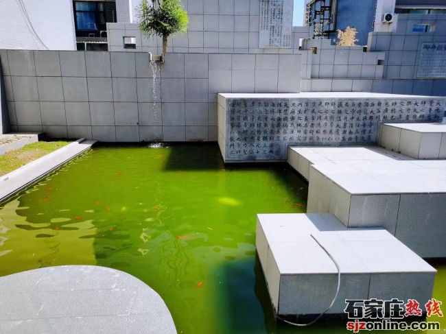 石家莊新藝中學