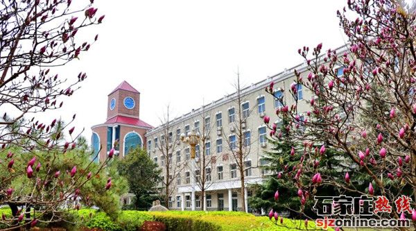 石家莊工商職業(yè)學院2021年招生章程